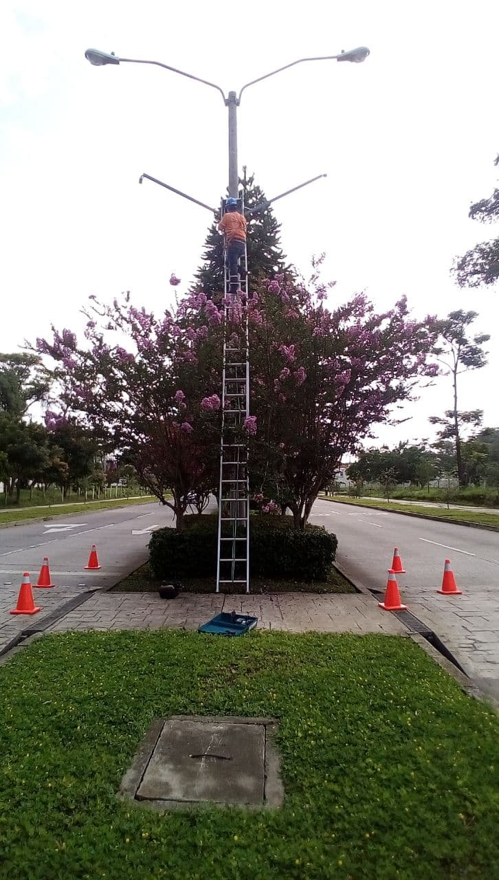 Proyecto Alameda Norte — DISEP